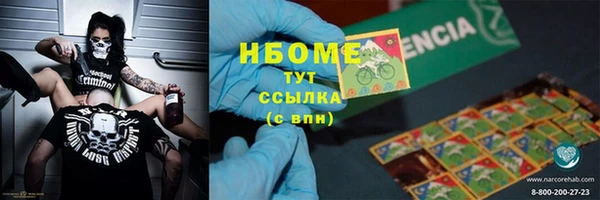 мдпв Вяземский